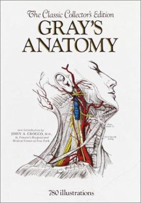 Anatomy, descriptive and surgical