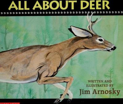 All about deer
