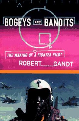 Bogeys and bandits : the making of a fighter pilot