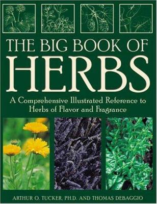 The big book of herbs : a comprehensive illustrated reference to herbs of flavor and fragrance