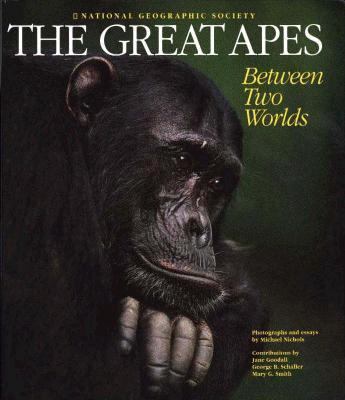 The great apes : between two worlds : photographs and essays