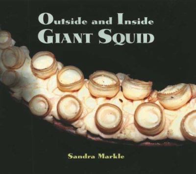 Outside and inside giant squid