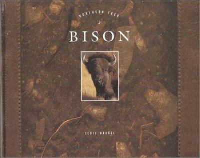 Bison