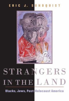 Strangers in the land : Blacks, Jews, post-Holocaust America