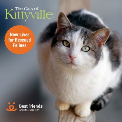 The cats of Kittyville : new lives for rescued felines