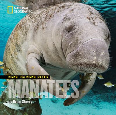 Face to face with manatees