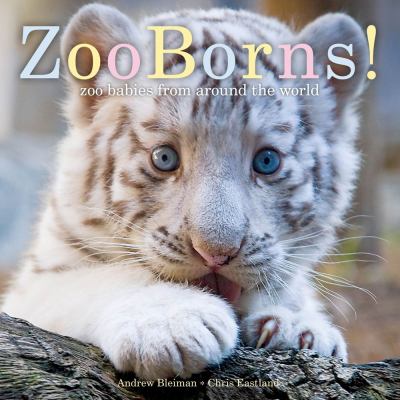 Zoo Borns! : zoo babies from around the world