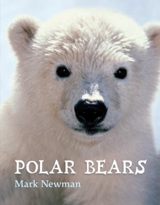 Polar bears