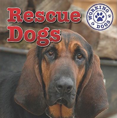 Rescue dogs