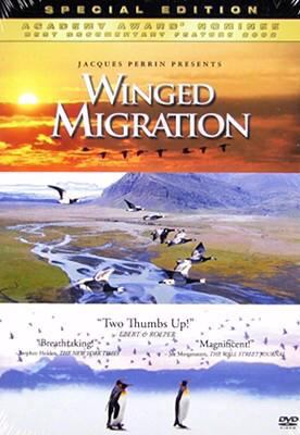 Winged migration