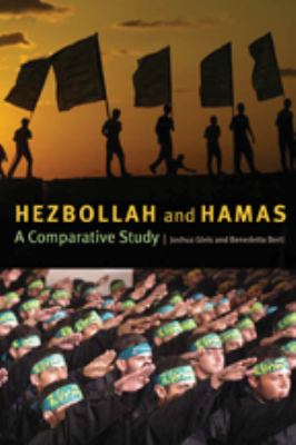 Hezbollah and Hamas : a comparative study