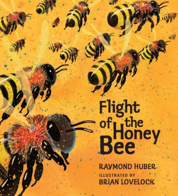 Flight of the honey bee