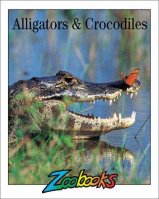 Alligators & crocodiles