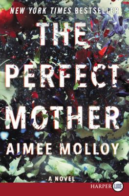 The perfect mother : a novel