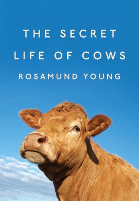 The secret life of cows