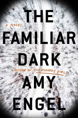 The familiar dark : a novel