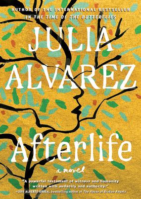 Afterlife : a novel