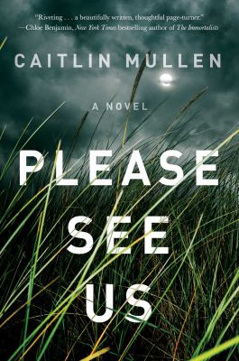 Please see us : a novel