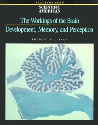 The Workings of the brain : development, memory, and percption : readings from Scientific American magazine