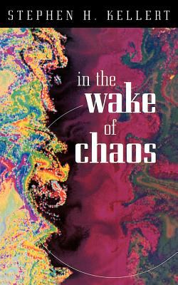 In the wake of chaos : unpredictable order in dynamical systems