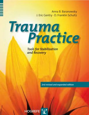 Trauma practice : tools for stabilization and recovery