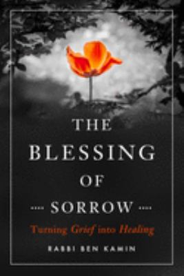 The blessing of sorrow : turning grief into healing