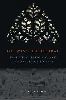 Darwin's cathedral : evolution, religion, and the nature of society