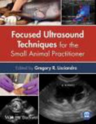 Focused ultrasound techniques for the small animal practitioner