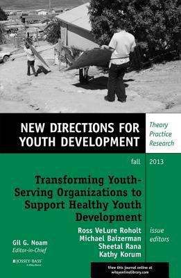 Transforming youth-serving organizations to support healthy youth development