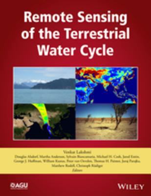 Remote sensing of the terrestrial water cycle