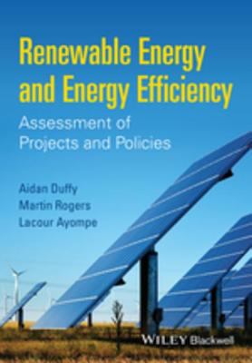 Renewable energy and energy efficiency : assessment of projects and policies