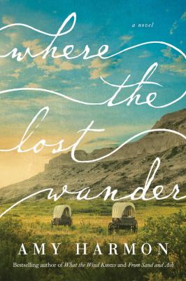 Where the lost wander : a novel