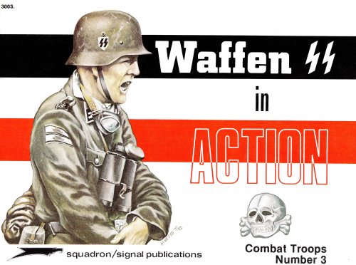 Waffen-SS in action