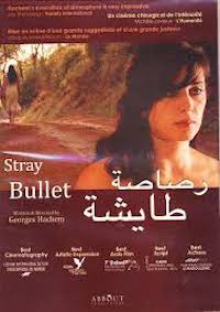 Stray bullet