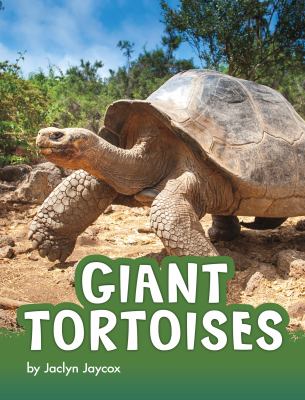 Giant tortoises