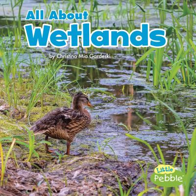 All about wetlands