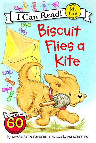 Biscuit flies a kite