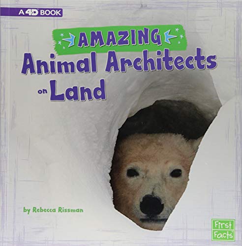 Amazing animal architects on land