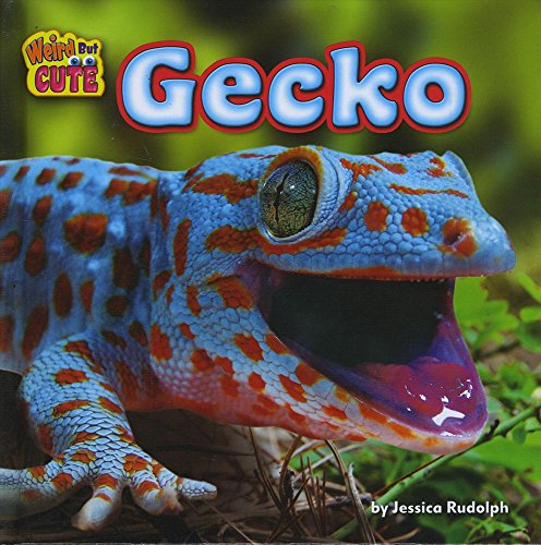 Gecko