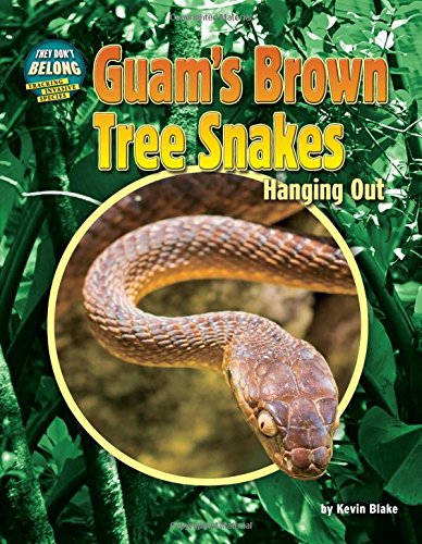 Guam's brown tree snakes : hanging out