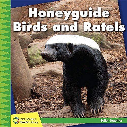 Honeyguide birds and ratels