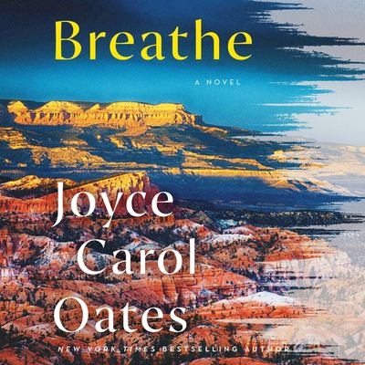 Breathe : a novel