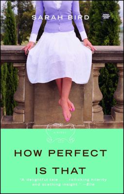 How perfect is that : a novel