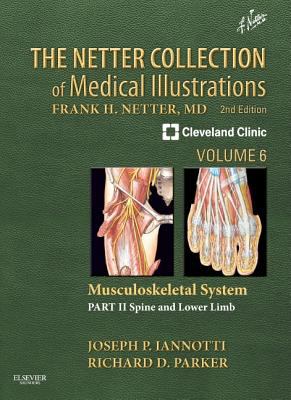 The Netter collection of medical illustrations. : a compilation of paintings. Part II, Spine and lower limb :