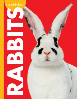 Curious about rabbits