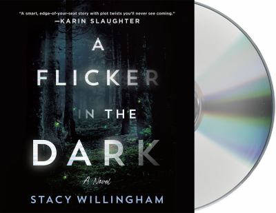 A flicker in the dark : a novel