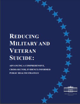 Reducing military and veteran suicide : advancing a comprehensive, cross-sector, evidence-informed public health strategy.