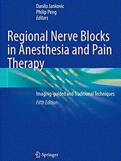 Regional nerve blocks in anesthesia and pain therapy : imaging-guided and traditional techniques