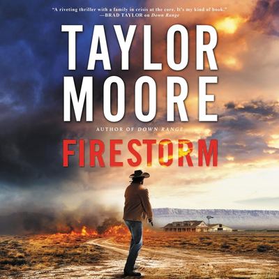 Firestorm : a novel