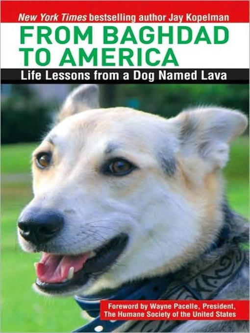 From Baghdad to America : Life Lessons from a Dog Named Lava